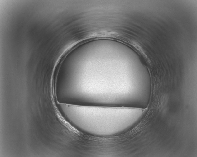 X0000060231080200510280931