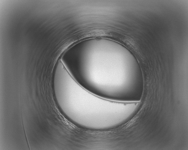 X0000060231081200510280931