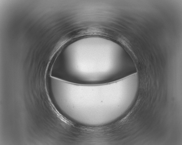 X0000060231082200510280931