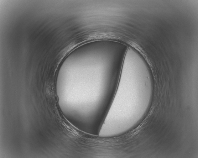 X0000060231089200510280931