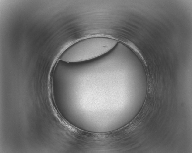 X0000060231096200510280931