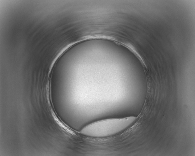 X0000060231100200510280931