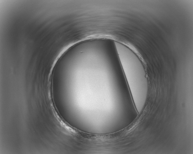 X0000060231102200510280931