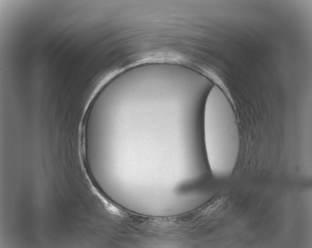 X0000060231103200510280931