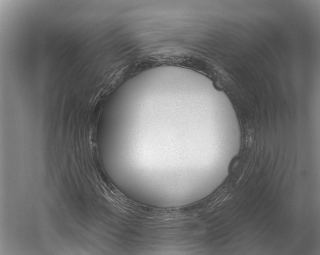 X0000060231108200510280930