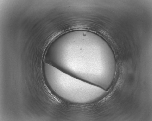 X0000060231121200510280931