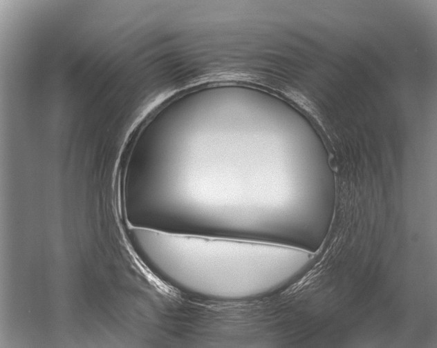 X0000060231127200510280931