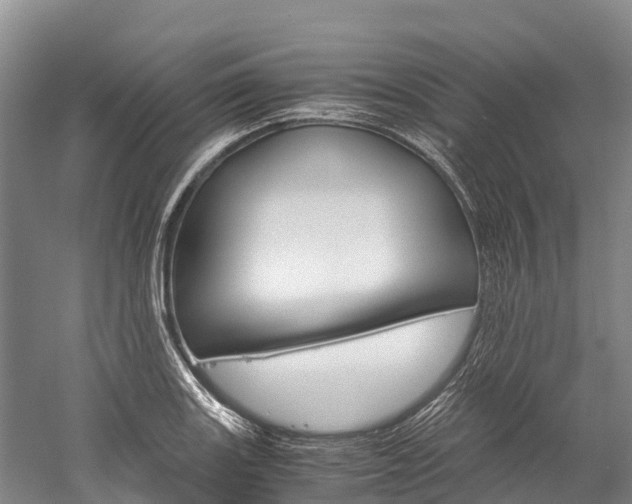 X0000060231131200510280931