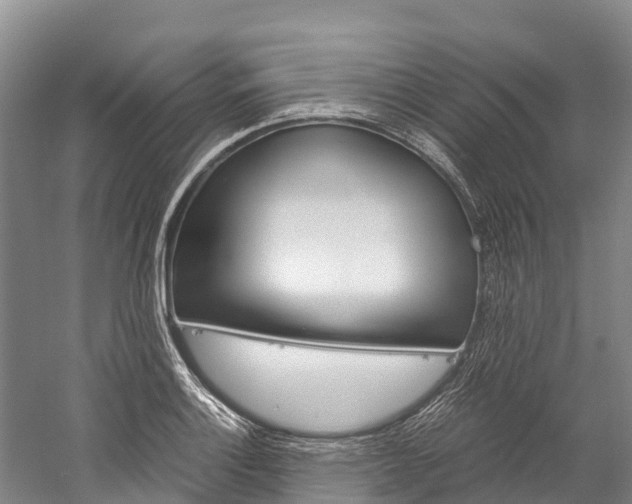 X0000060231132200510280931