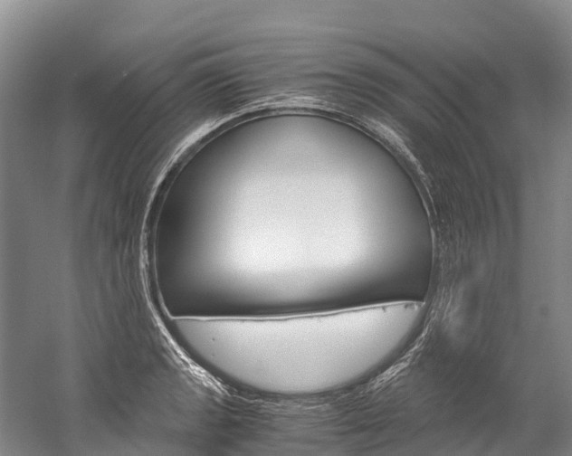 X0000060231133200510280931
