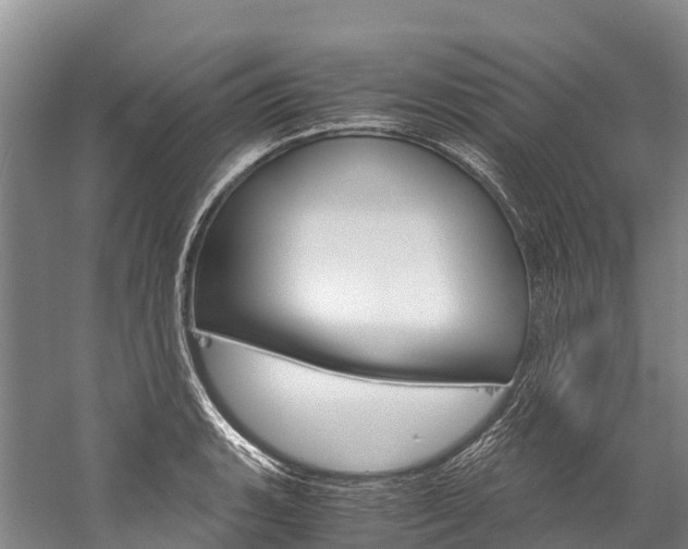 X0000060231135200510280931