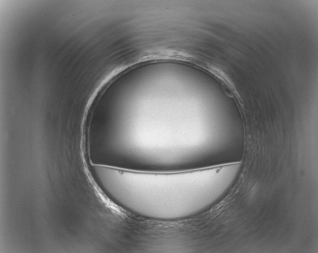 X0000060231136200510280931