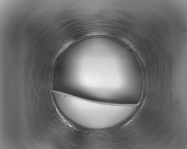X0000060231137200510280931