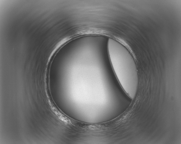 X0000060231138200510280931