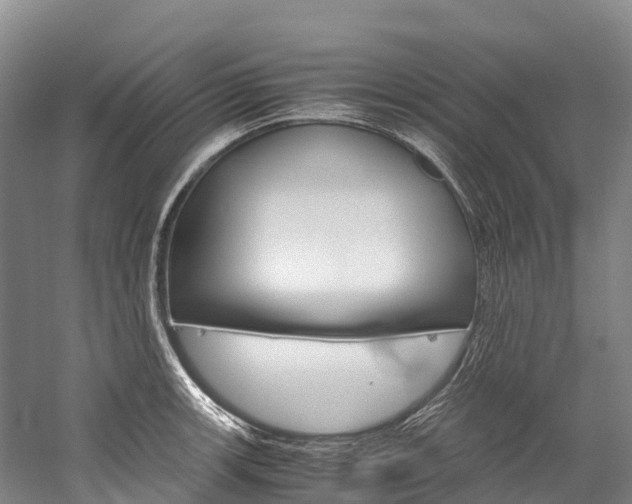X0000060231139200510280931