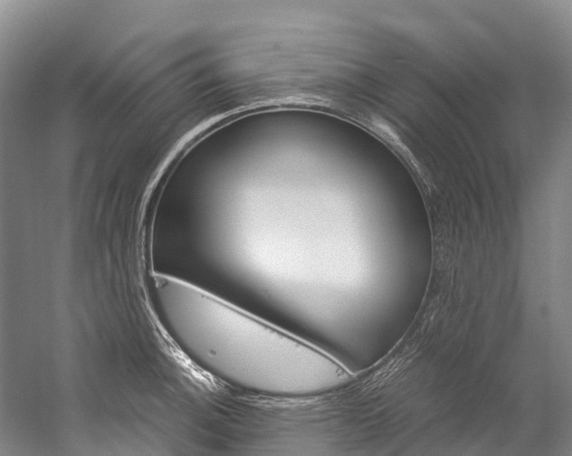 X0000060231140200510280931