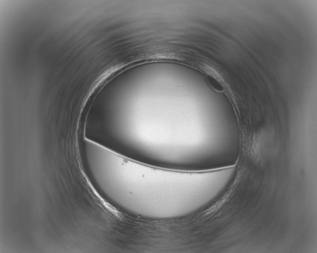 X0000060231141200510280931