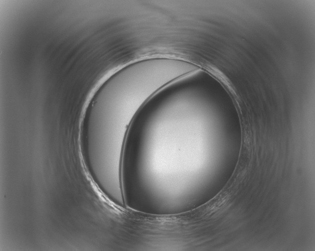 X0000060231144200510280931
