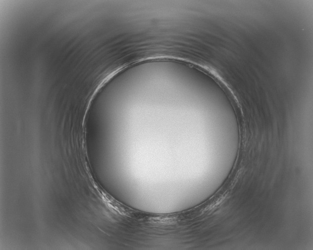 X0000060231145200510280931