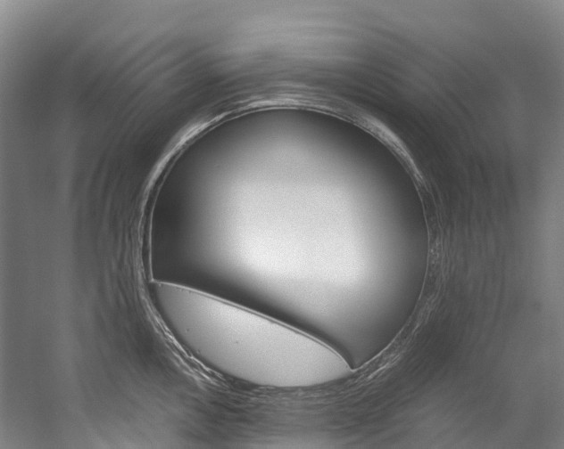 X0000060231146200510280931