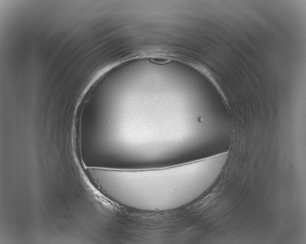 X0000060231147200510280931