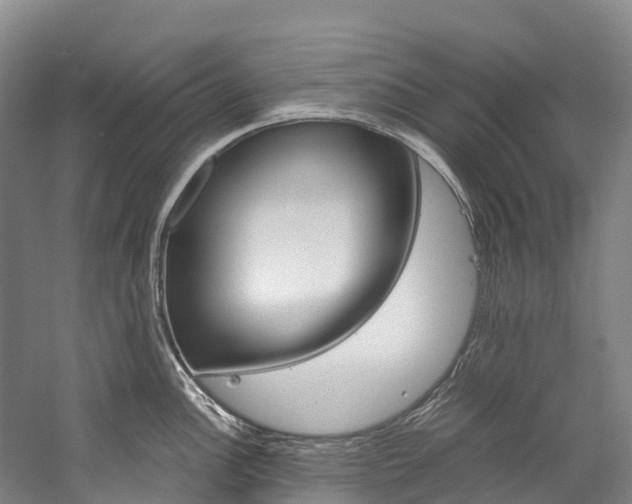X0000060231148200510280931