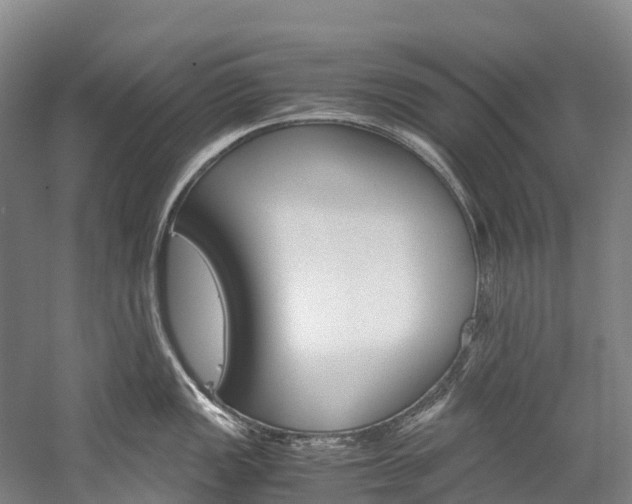 X0000060231149200510280931