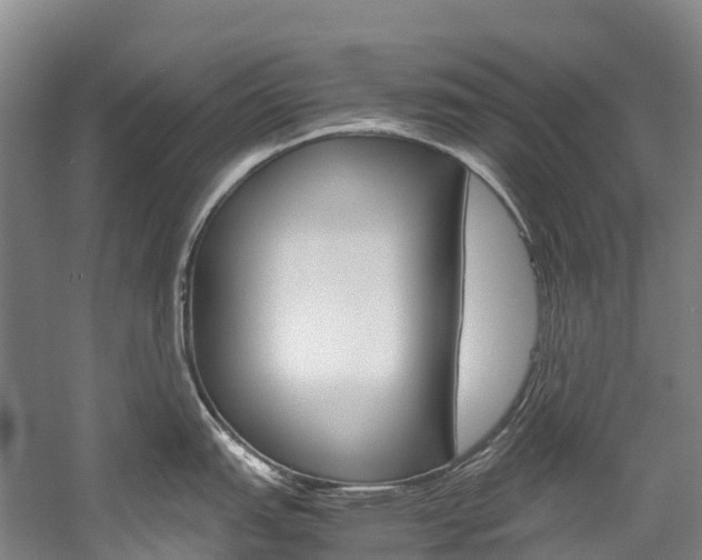 X0000060231151200510280931