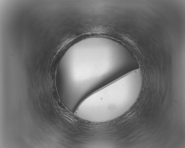 X0000060231160200510280930