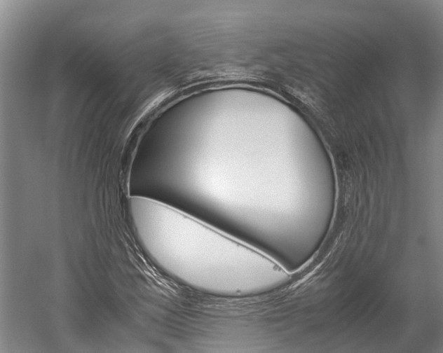 X0000060231163200510280930