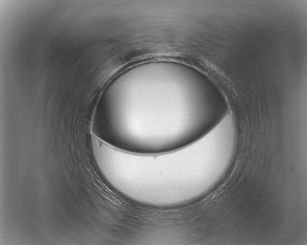X0000060231169200510280930