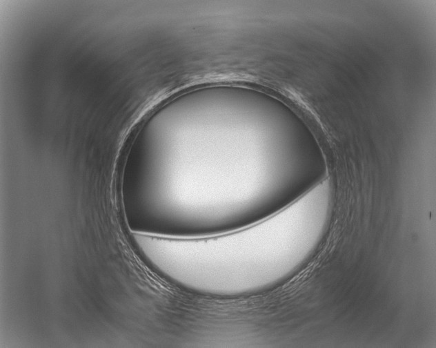 X0000060231173200510280930