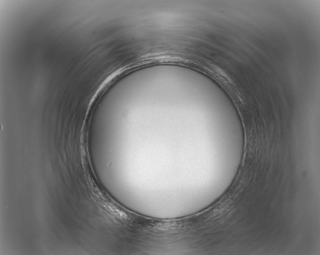 X0000060231182200510280930