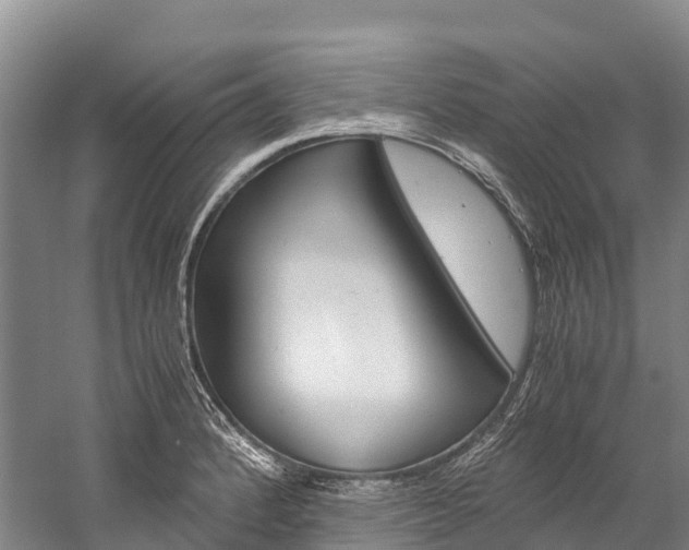 X0000060231184200510280930