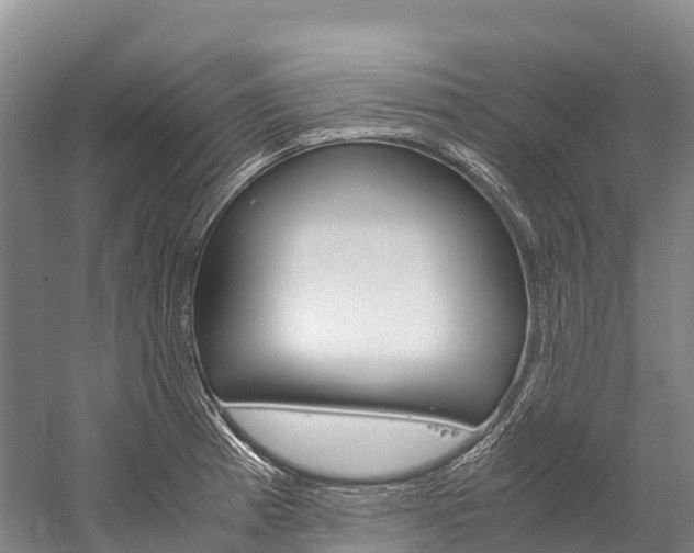 X0000060231185200510280930