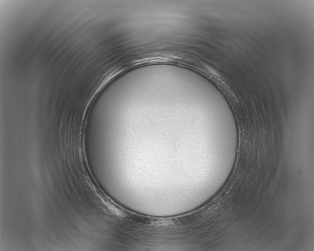 X0000060231186200510280930