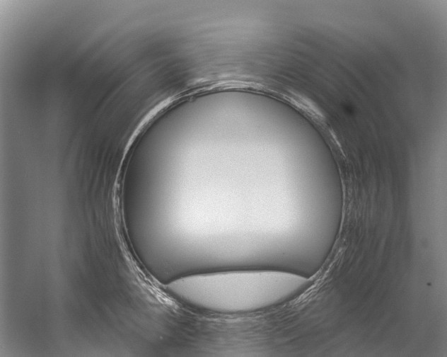 X0000060231190200510280930