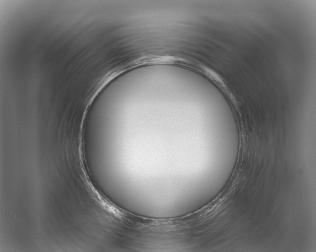 X0000060231194200510280930