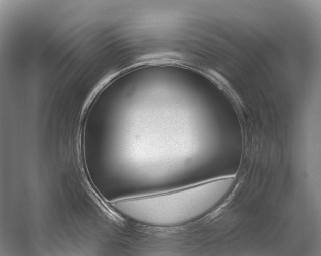 X0000060231196200510280929