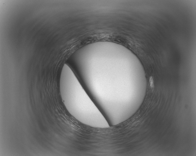 X0000060231203200510280929