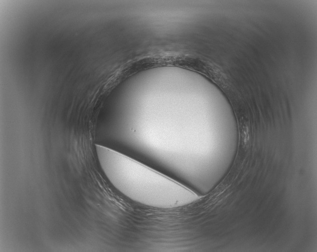 X0000060231204200510280929