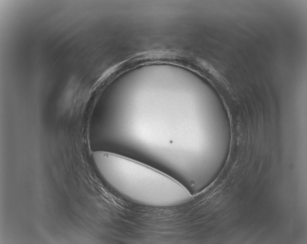 X0000060231213200510280929