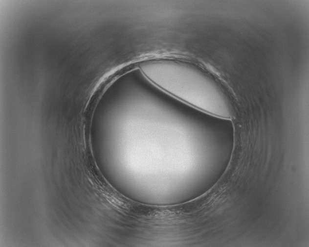 X0000060231214200510280929
