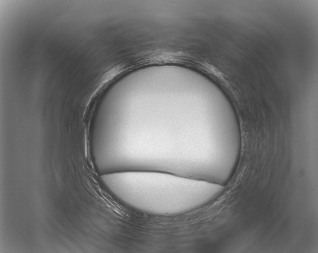 X0000060231219200510280929