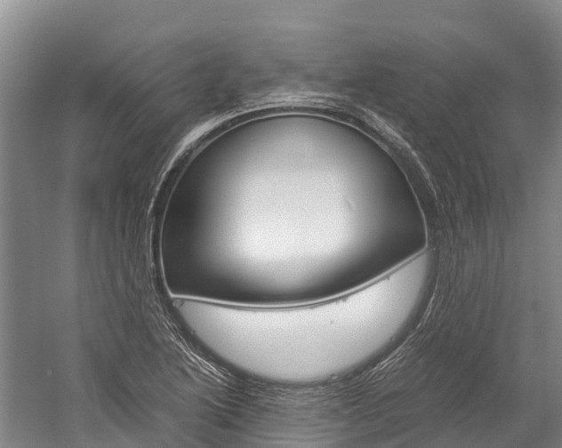 X0000060231222200510280929