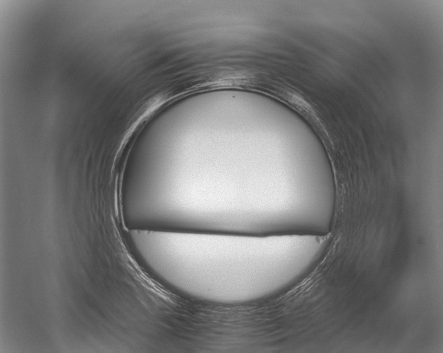 X0000060231227200510280929