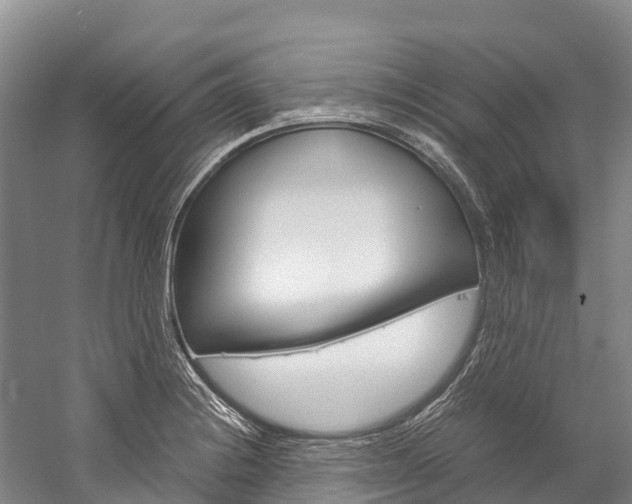 X0000060231228200510280929
