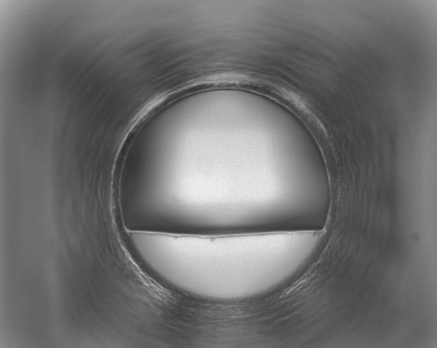 X0000060231229200510280929