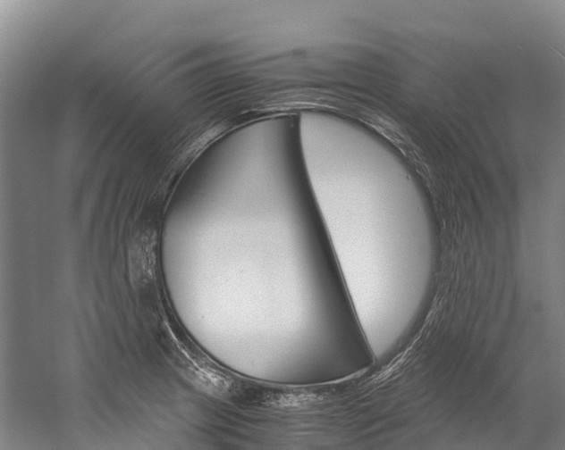 X0000060231233200510280929