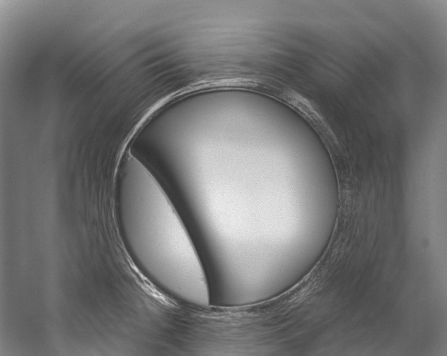 X0000060231236200510280929
